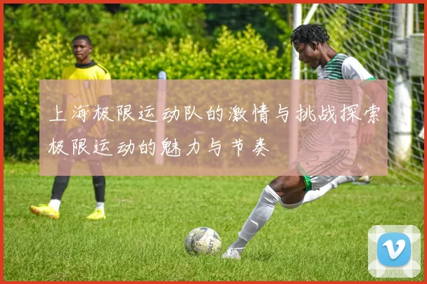 上海极限运动队的激情与挑战探索极限运动的魅力与节奏