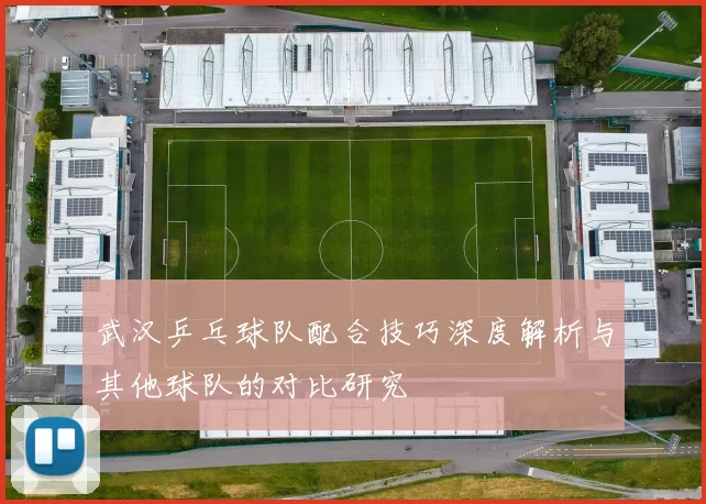武汉乒乓球队配合技巧深度解析与其他球队的对比研究