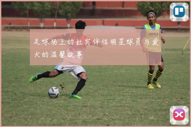 足球场上的杜宾伴侣明星球员与爱犬的温馨故事