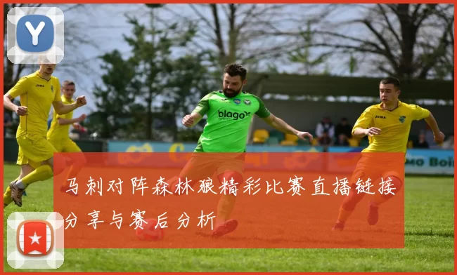 马刺对阵森林狼精彩比赛直播链接分享与赛后分析