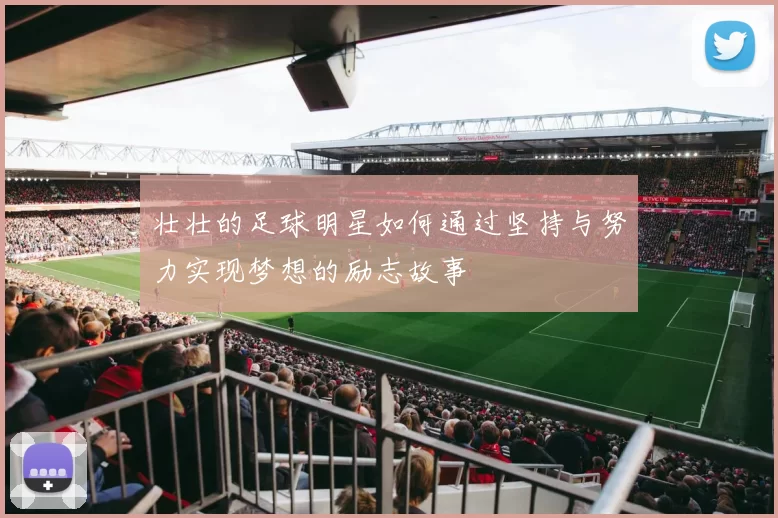 壮壮的足球明星如何通过坚持与努力实现梦想的励志故事