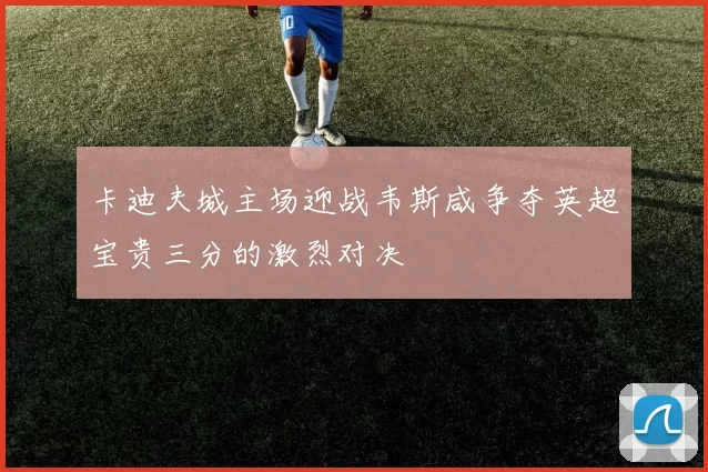卡迪夫城主场迎战韦斯咸争夺英超宝贵三分的激烈对决