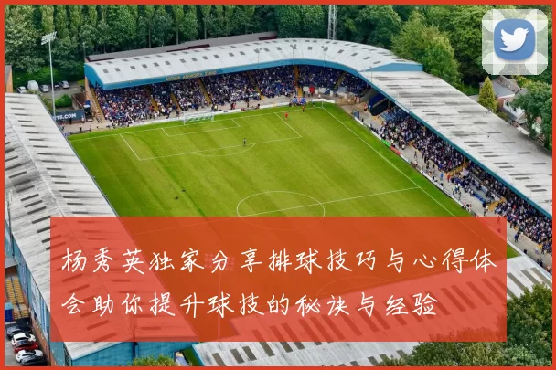 杨秀英独家分享排球技巧与心得体会助你提升球技的秘诀与经验