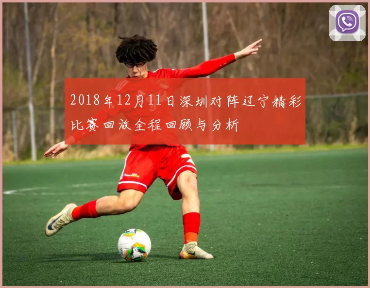 2018年12月11日深圳对阵辽宁精彩比赛回放全程回顾与分析