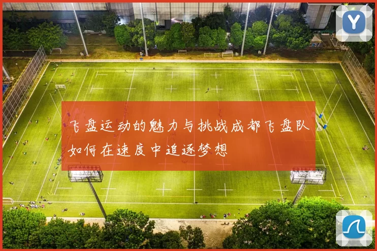 飞盘运动的魅力与挑战成都飞盘队如何在速度中追逐梦想