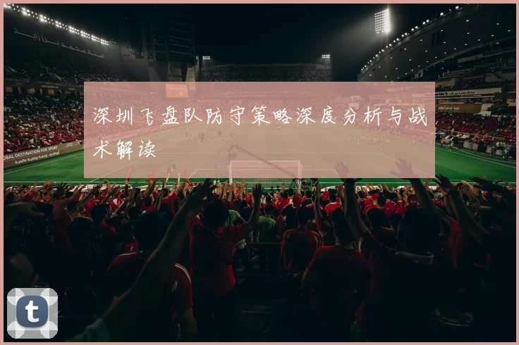 深圳飞盘队防守策略深度分析与战术解读