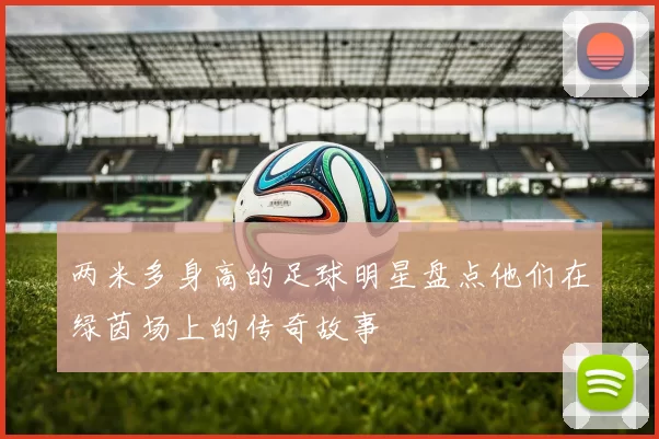 两米多身高的足球明星盘点他们在绿茵场上的传奇故事