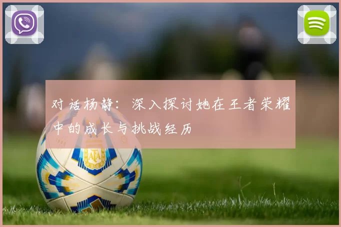 对话杨静：深入探讨她在王者荣耀中的成长与挑战经历