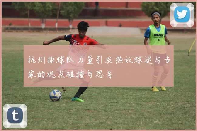 杭州排球队力量引发热议球迷与专家的观点碰撞与思考