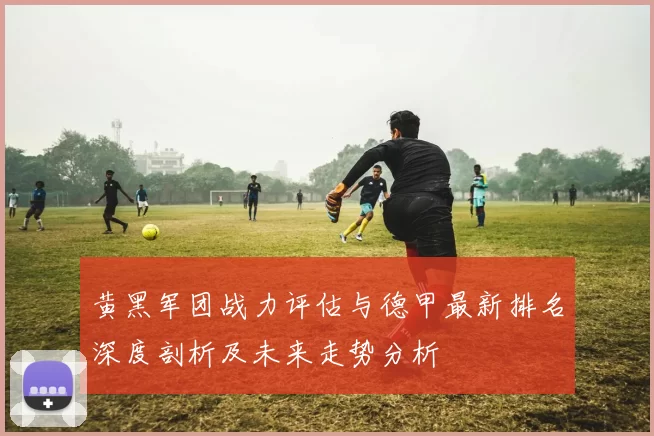 黄黑军团战力评估与德甲最新排名深度剖析及未来走势分析