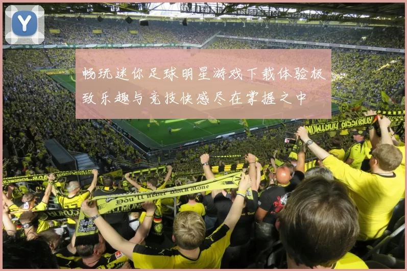 畅玩迷你足球明星游戏下载体验极致乐趣与竞技快感尽在掌握之中