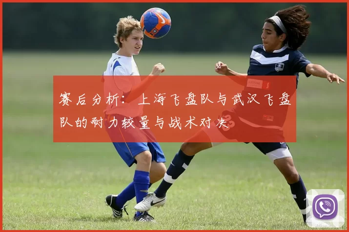赛后分析：上海飞盘队与武汉飞盘队的耐力较量与战术对决