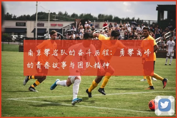 南京攀岩队的奋斗历程：勇攀高峰的青春故事与团队精神