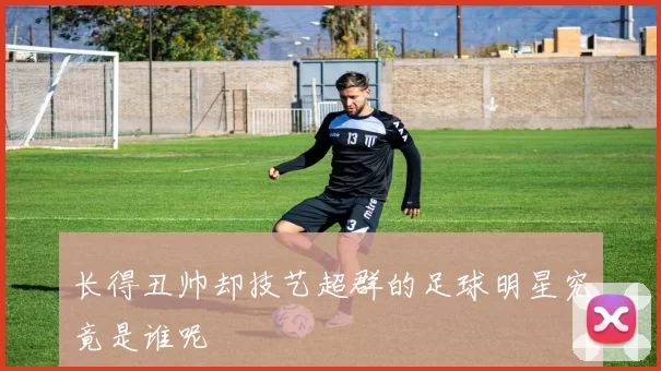 长得丑帅却技艺超群的足球明星究竟是谁呢
