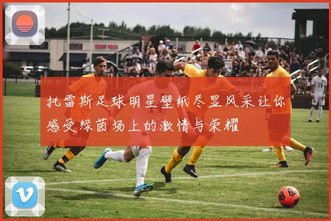 托雷斯足球明星壁纸尽显风采让你感受绿茵场上的激情与荣耀