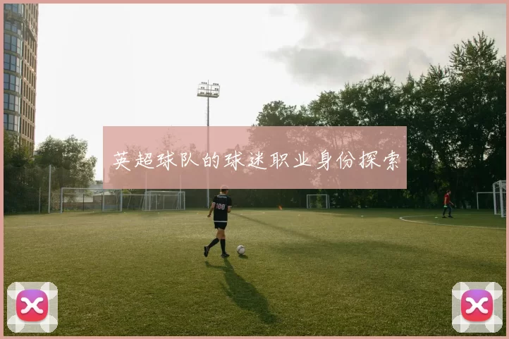 英超球队的球迷职业身份探索