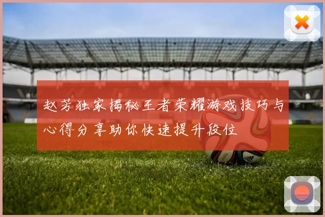 赵芳独家揭秘王者荣耀游戏技巧与心得分享助你快速提升段位
