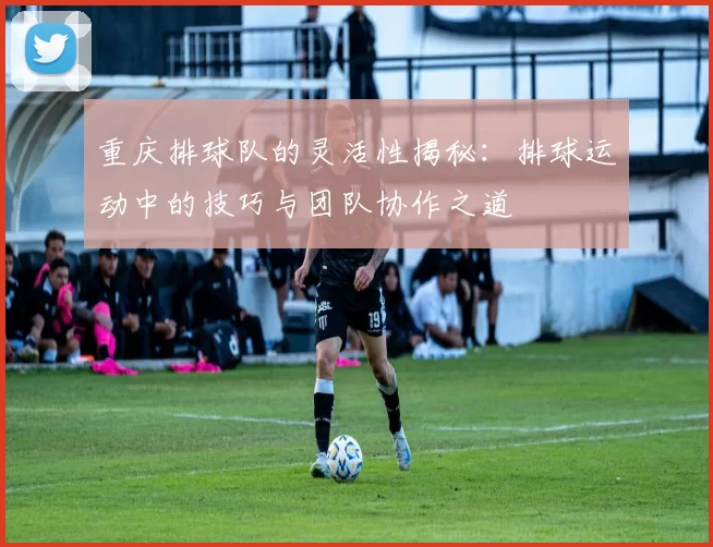 重庆排球队的灵活性揭秘：排球运动中的技巧与团队协作之道
